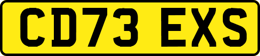 CD73EXS