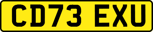 CD73EXU