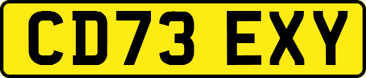 CD73EXY