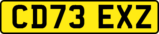 CD73EXZ