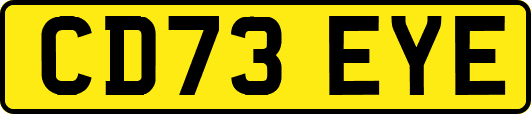CD73EYE