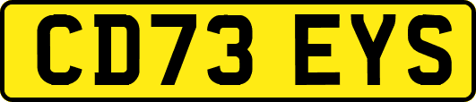 CD73EYS