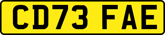 CD73FAE