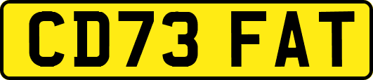 CD73FAT
