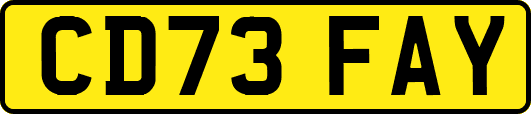 CD73FAY