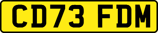 CD73FDM