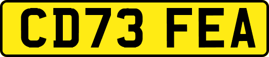 CD73FEA