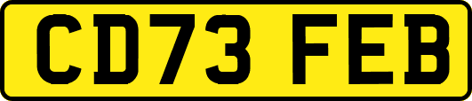 CD73FEB