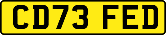CD73FED