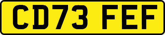 CD73FEF
