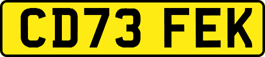 CD73FEK