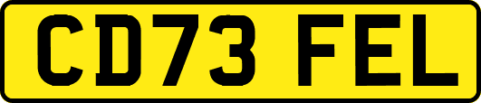 CD73FEL