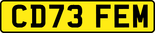 CD73FEM