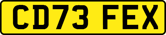 CD73FEX