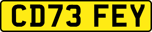 CD73FEY