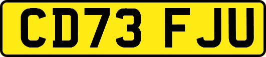 CD73FJU