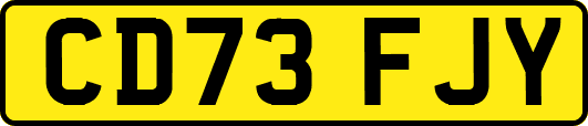 CD73FJY