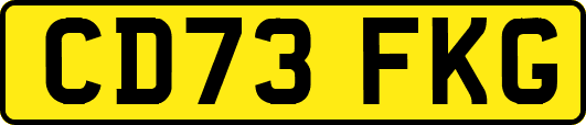 CD73FKG