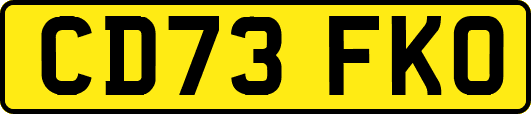 CD73FKO