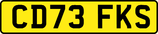 CD73FKS