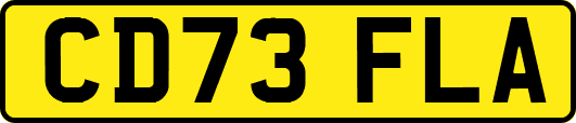 CD73FLA