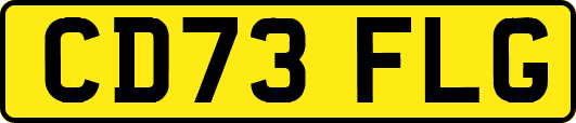 CD73FLG
