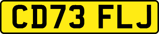 CD73FLJ
