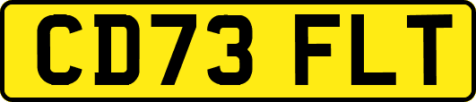 CD73FLT