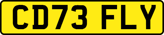 CD73FLY