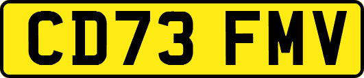 CD73FMV