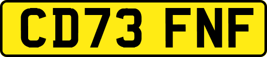 CD73FNF