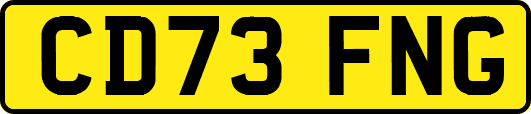 CD73FNG