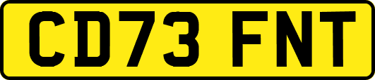 CD73FNT