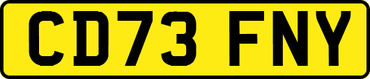 CD73FNY