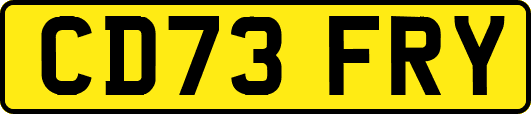 CD73FRY