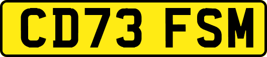 CD73FSM