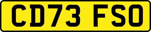 CD73FSO