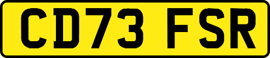 CD73FSR