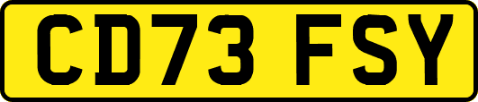 CD73FSY
