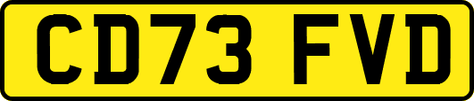 CD73FVD