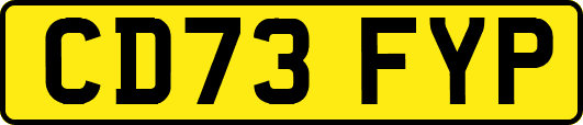 CD73FYP