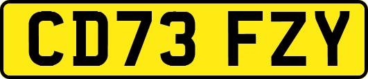CD73FZY
