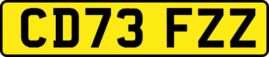CD73FZZ