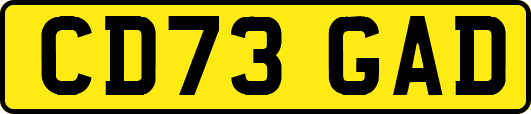 CD73GAD
