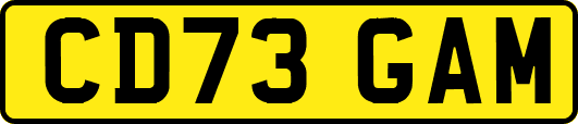 CD73GAM