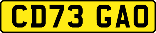 CD73GAO