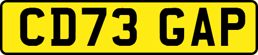 CD73GAP