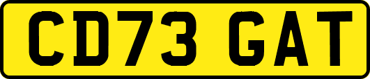 CD73GAT