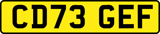 CD73GEF
