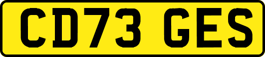 CD73GES